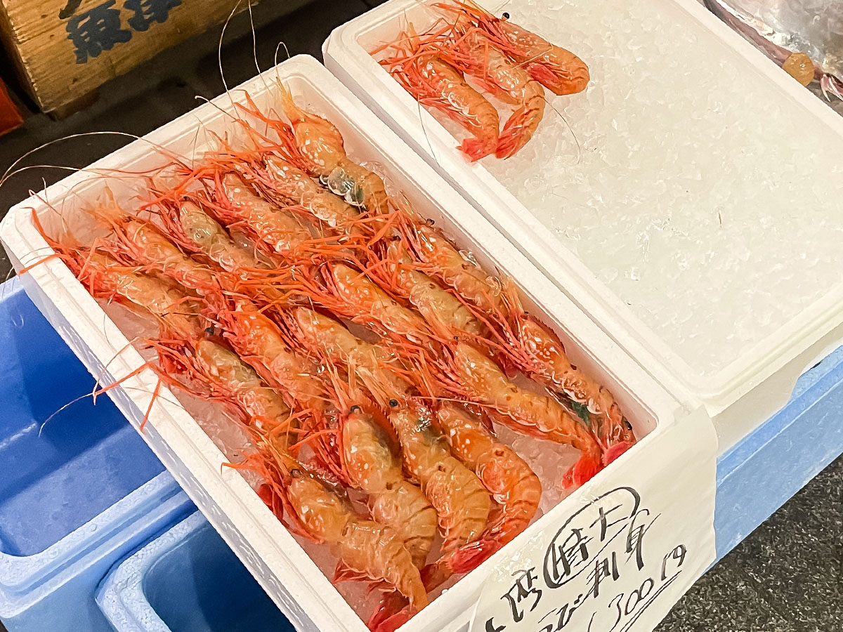 「魚どん亭」で甘エビとノドグロ、本ずわいがに、香箱がに食べたよ！／富山駅 とやマルシェ