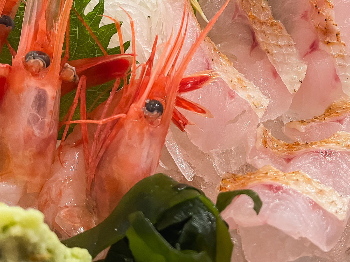 「魚どん亭」で甘エビとノドグロ、本ずわいがに、香箱がに食べたよ！／富山駅 とやマルシェ