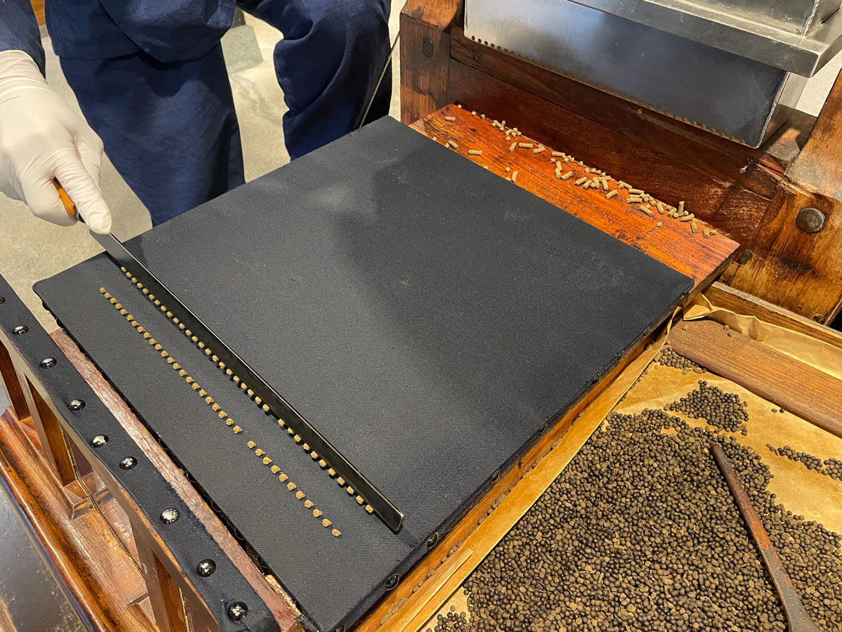 和漢薬「池田屋安兵衛商店」で反魂丹(はんごんたん)体験してみたよ!/富山県富山市