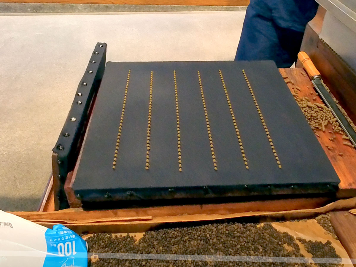 和漢薬「池田屋安兵衛商店」で反魂丹(はんごんたん)体験してみたよ!/富山県富山市