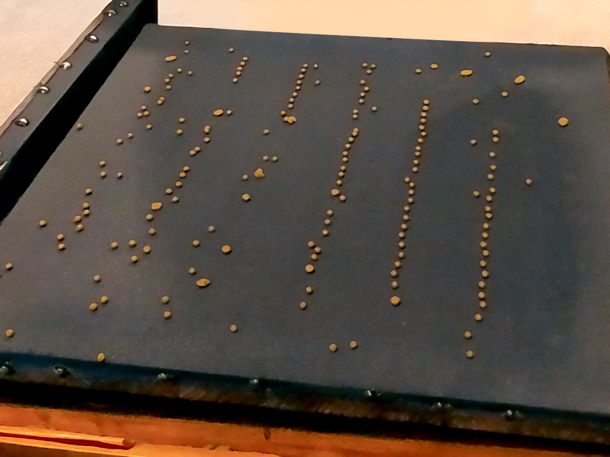 和漢薬「池田屋安兵衛商店」で反魂丹(はんごんたん)体験してみたよ!/富山県富山市