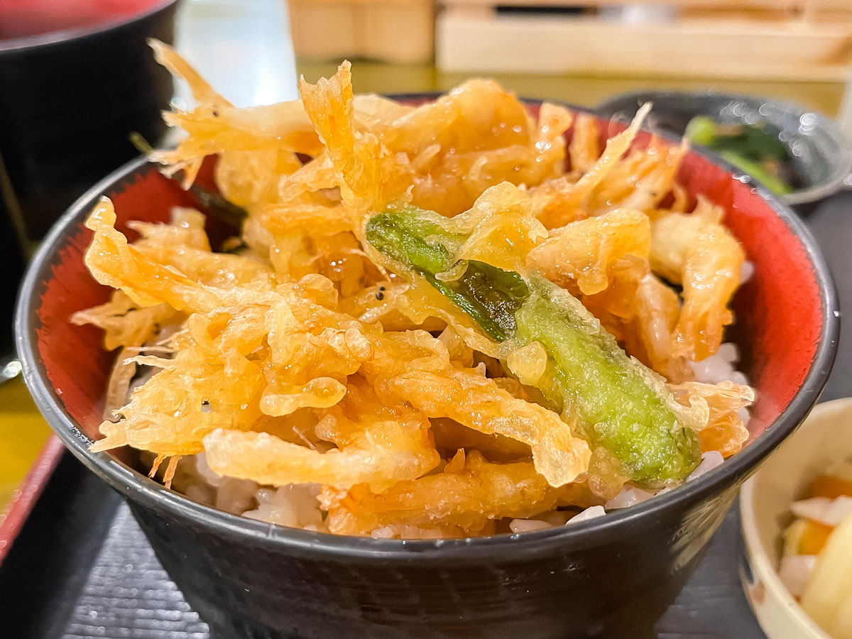 「魚どん亭」でお刺身盛合せ、白えび天丼、魚介ミックスフライ食べたよ！／富山駅 とやマルシェ