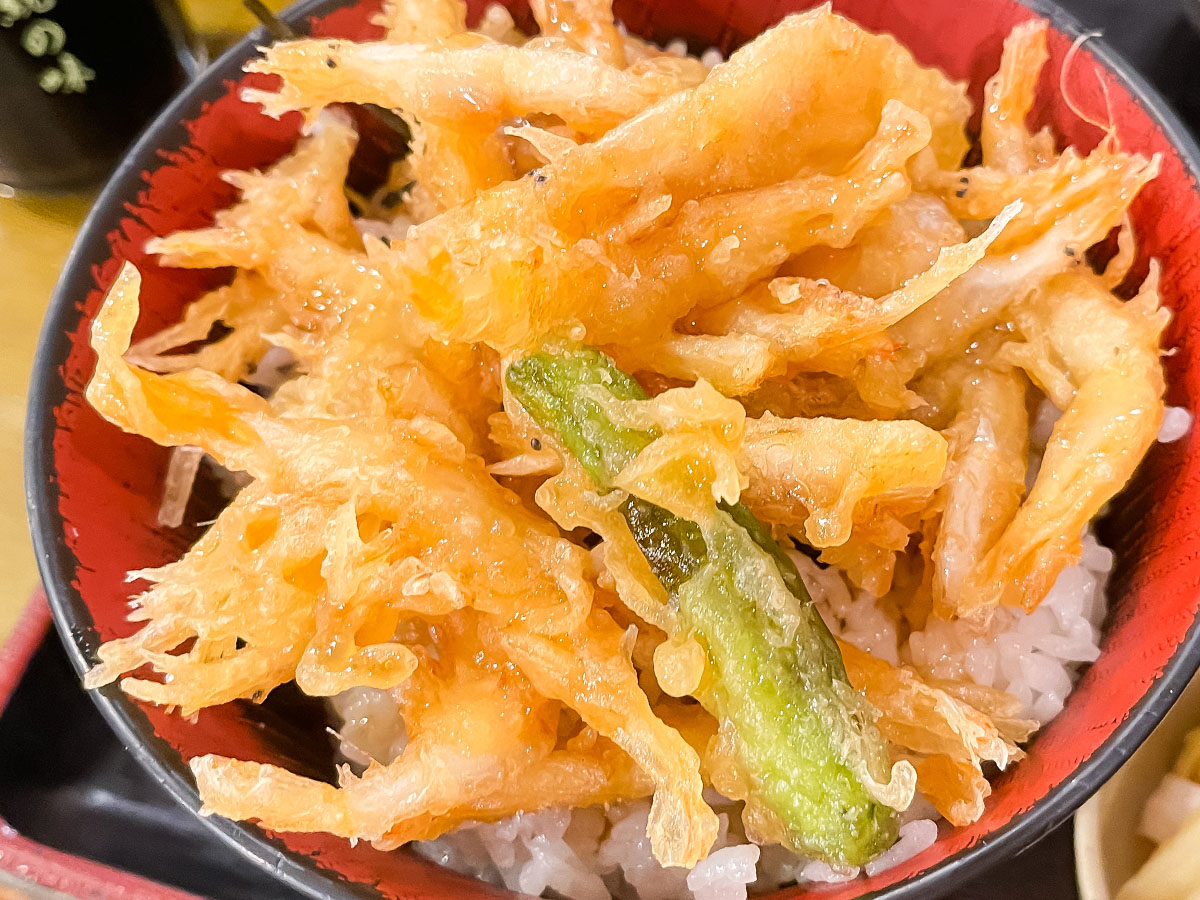 「魚どん亭」でお刺身盛合せ、白えび天丼、魚介ミックスフライ食べたよ！／富山駅 とやマルシェ