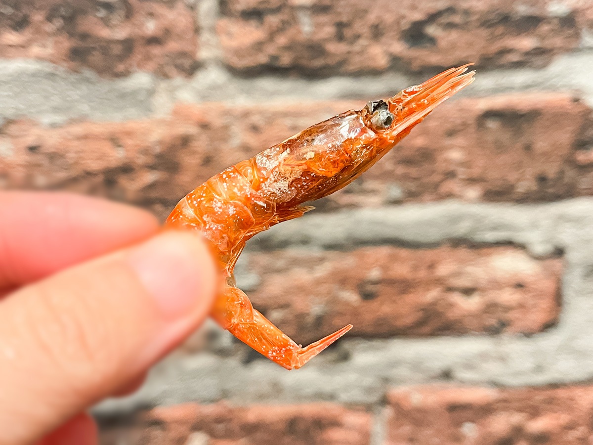釣屋魚問屋が手掛ける「つりや」でほたるいかと甘えびの素干し買ってみた！／富山県東岩瀬町