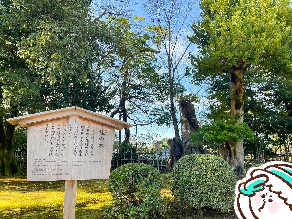 特別名勝「兼六園」に行ってみたよ/石川県金沢市