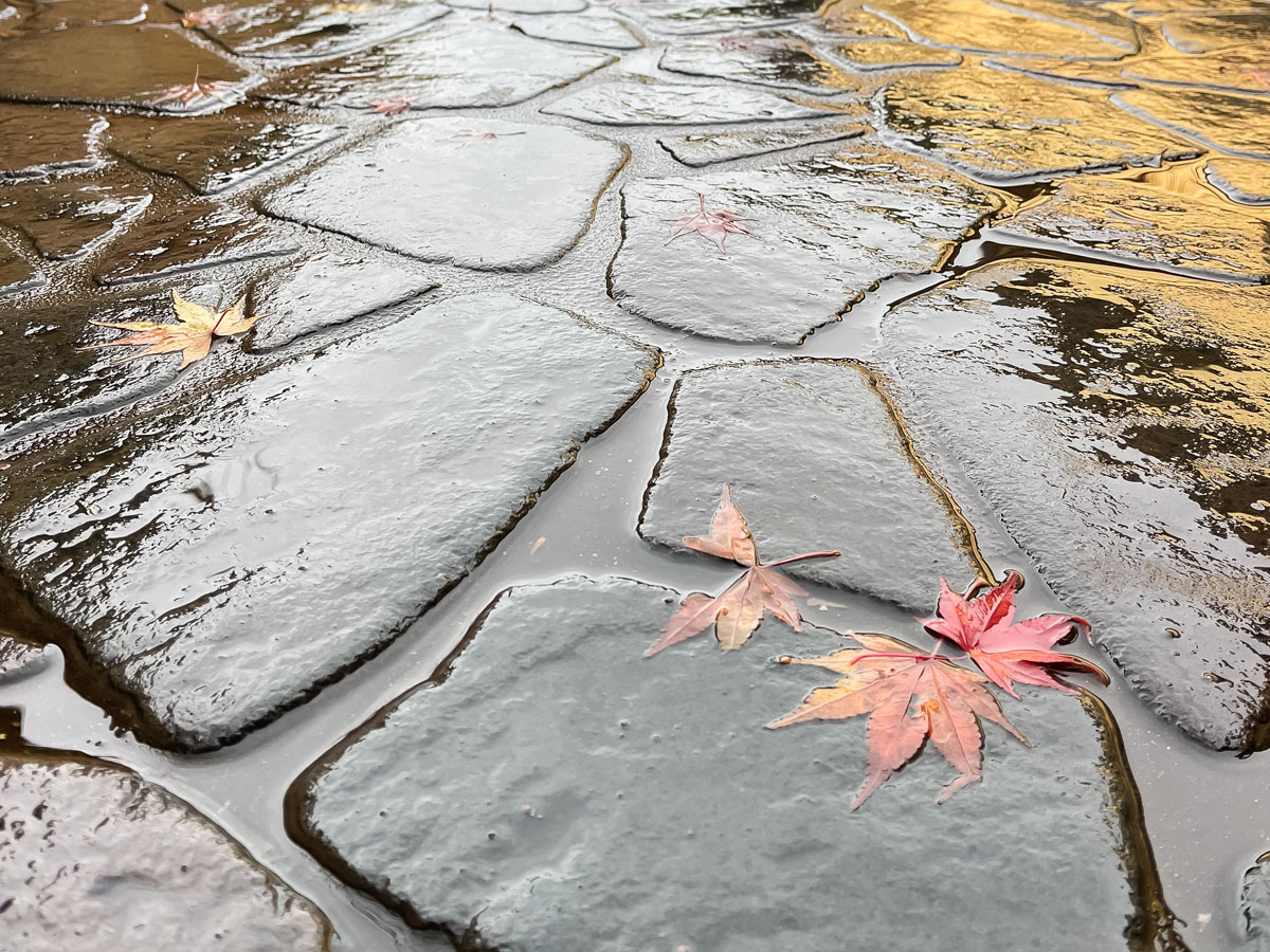 長町武家屋敷跡にある「茶菓工房たろう」で"珈琲とはなことたろう"食べた！／石川県金沢市