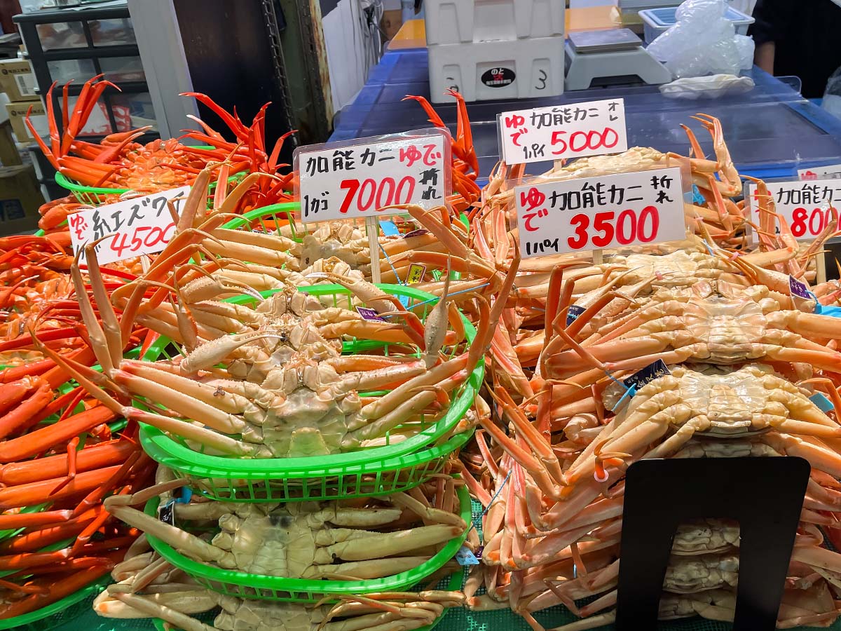 「金沢港いきいき魚市」で、茹で加納カニとガス海老の刺身食べたよ！／石川県金沢市