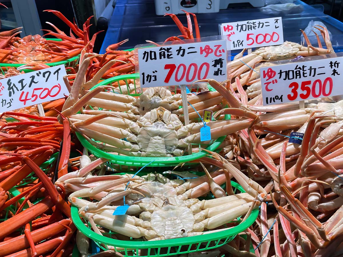「金沢港いきいき魚市」で、茹で加納カニとガス海老の刺身食べたよ！／石川県金沢市
