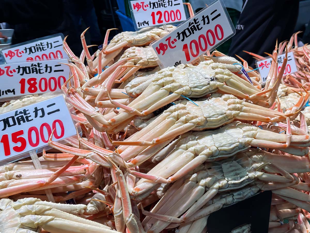 「金沢港いきいき魚市」で、茹で加納カニとガス海老の刺身食べたよ！／石川県金沢市