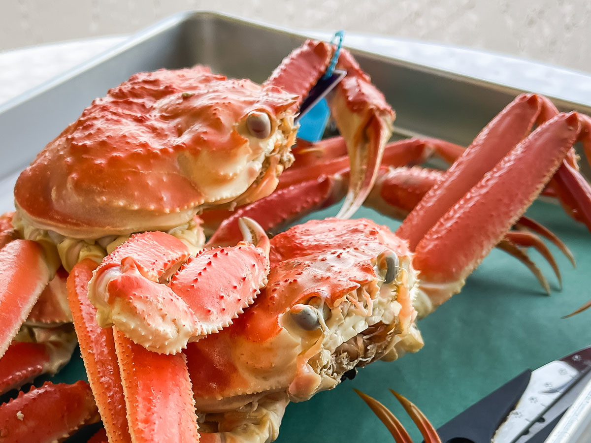 「金沢港いきいき魚市」で、茹で加納カニとガス海老の刺身食べたよ！／石川県金沢市