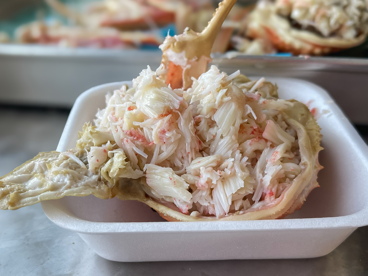 「金沢港いきいき魚市」で、茹で加納カニとガス海老の刺身食べたよ！／石川県金沢市