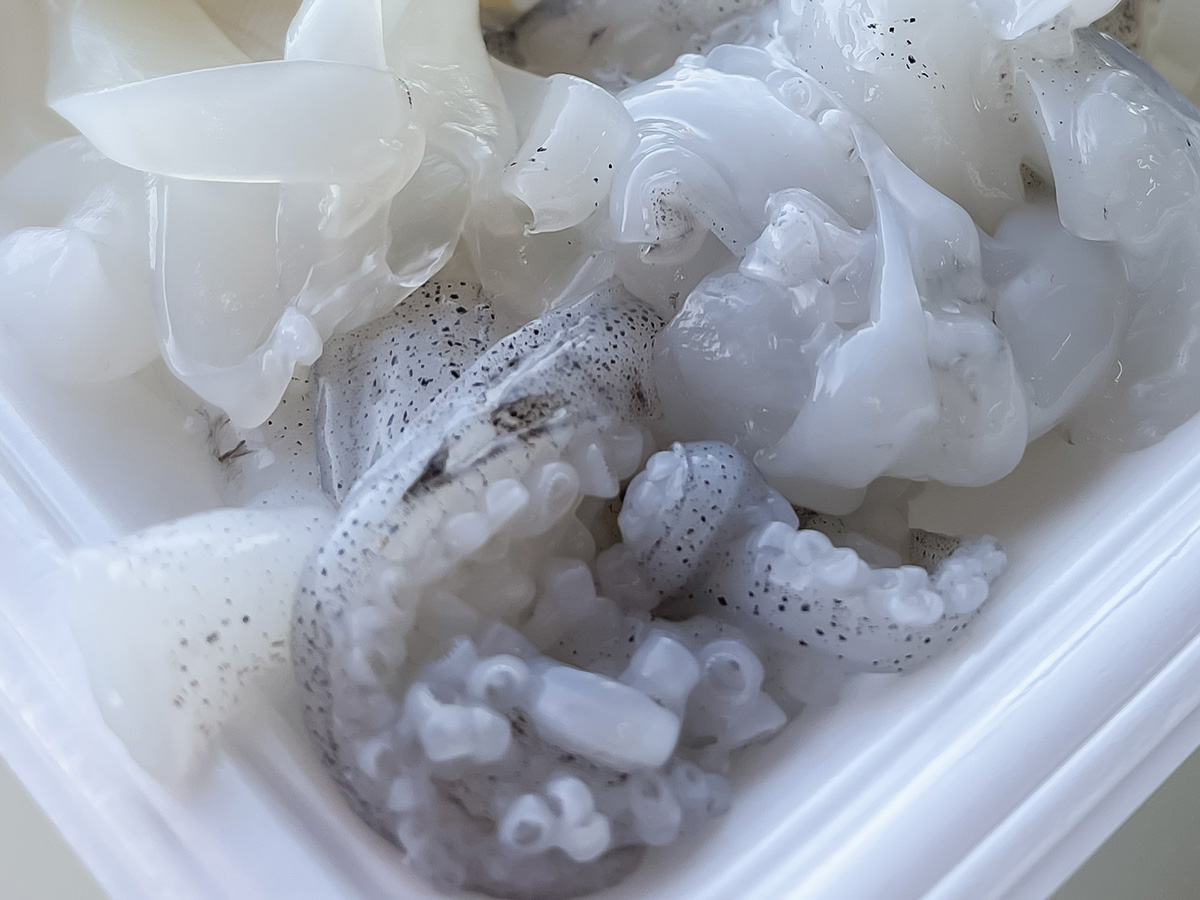 「金沢港いきいき魚市」で、茹で加納カニとガス海老の刺身食べたよ！／石川県金沢市