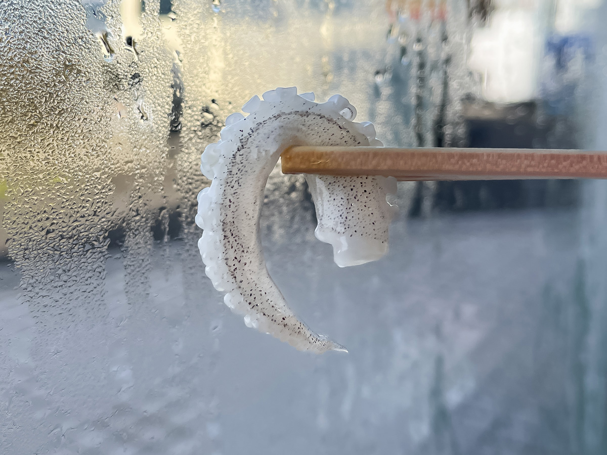 「金沢港いきいき魚市」で、茹で加納カニとガス海老の刺身食べたよ！／石川県金沢市