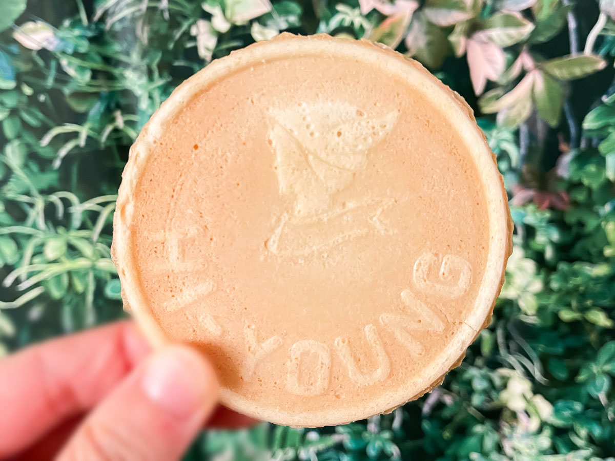 高校生と「長池製菓」が作ったお菓子"ミルクとしお"買ってみた／石川県土産