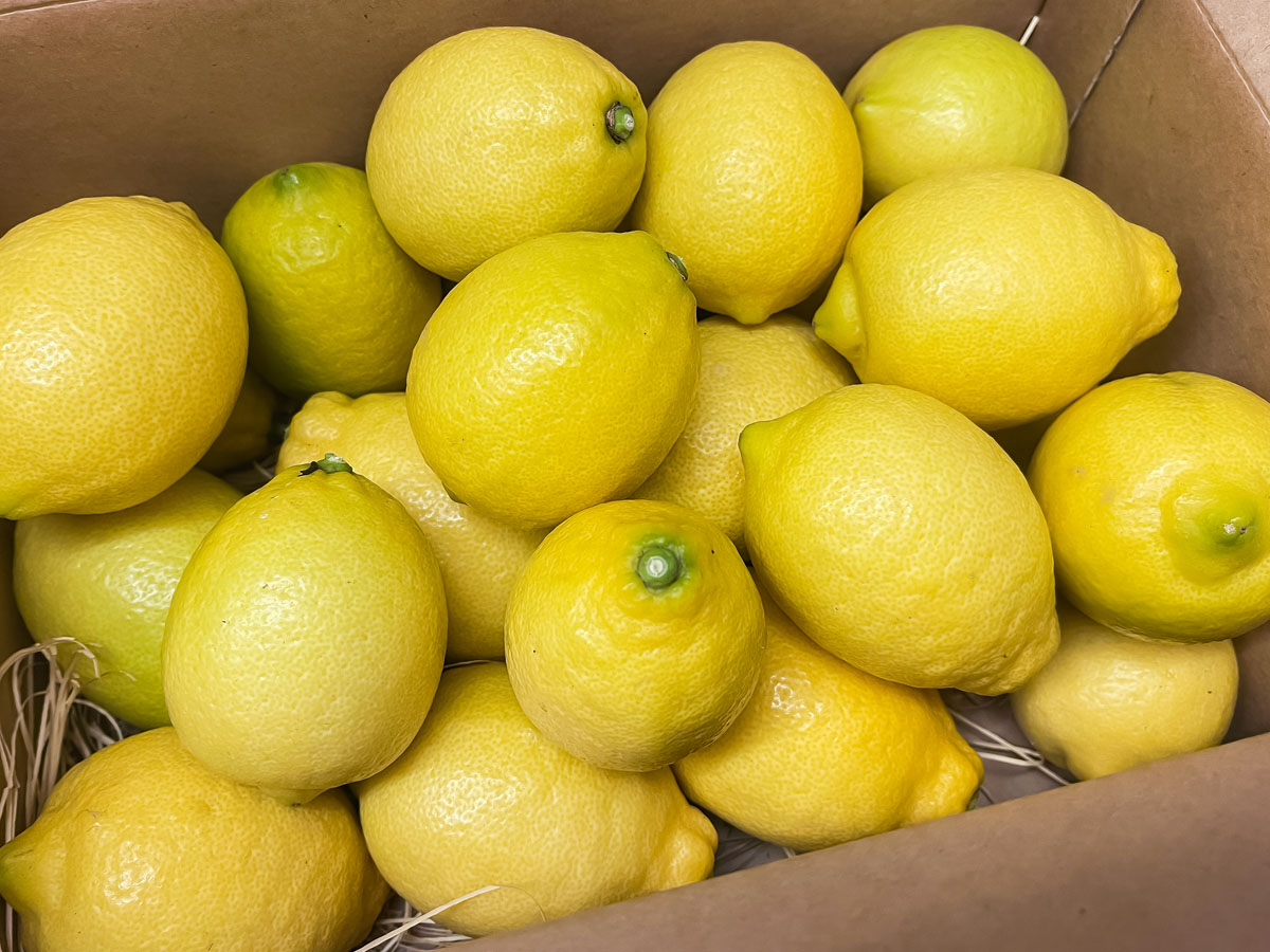 ヒューリック(3003)の株主優待で、広島 大崎上島 瀬戸内イエローレモンがきた！