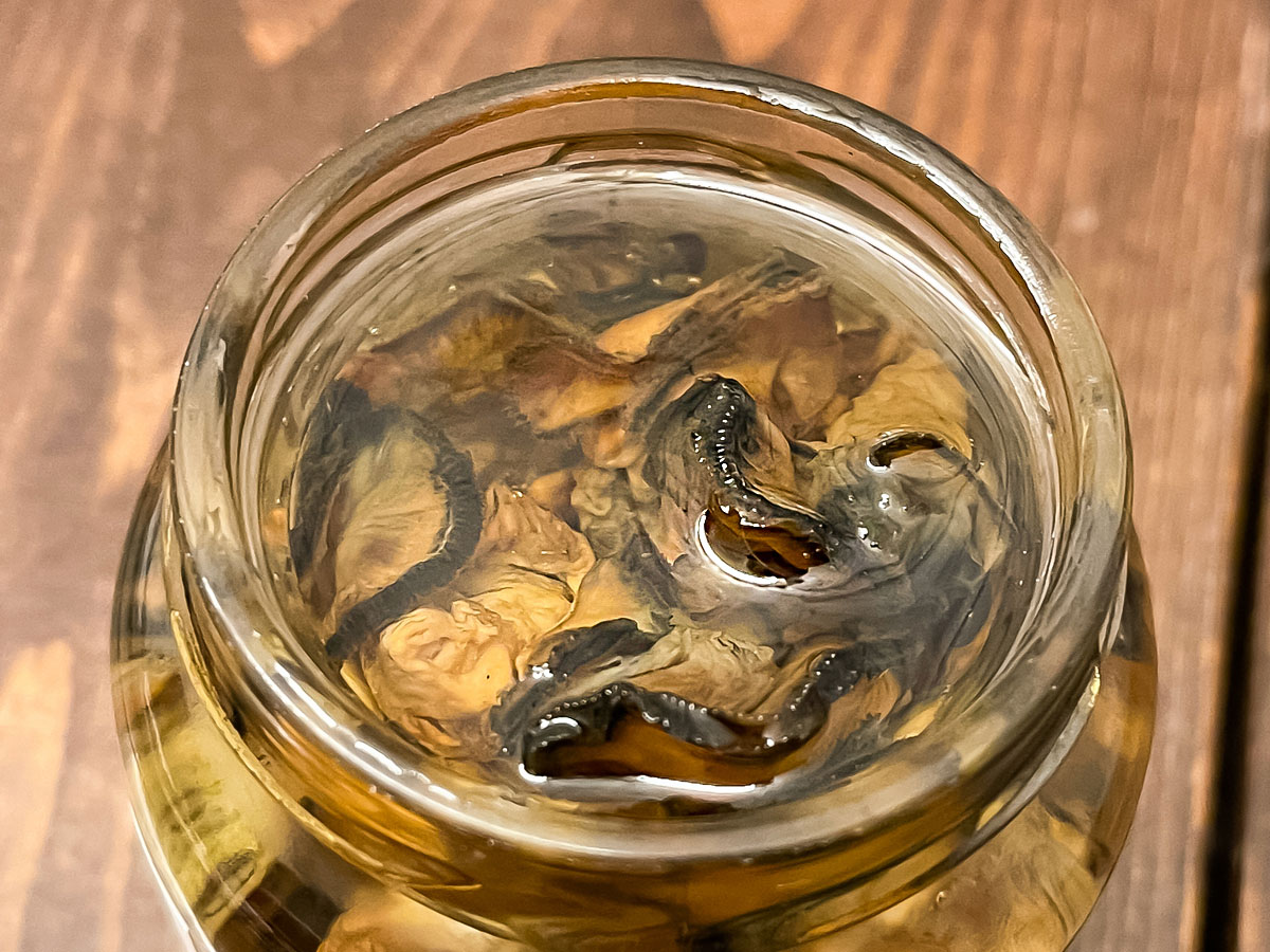 「つりや(釣屋魚問屋)」の"かき燻製オイル漬け"を買ってみたよ！／富山県土産